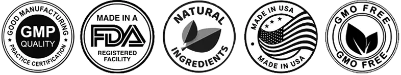 SynaBoost Certification